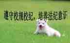 学校纪念129活动总结7篇