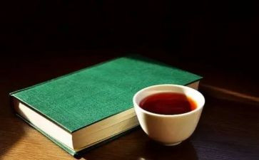 小说《边城》读后感5篇