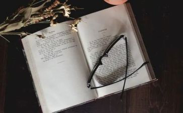 动物小说狼王梦的读后感6篇