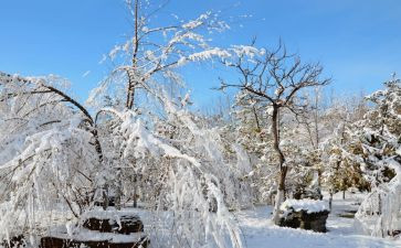 小班下雪教案6篇