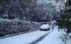 作文下雪了300字6篇