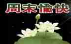 星期天作文800字7篇