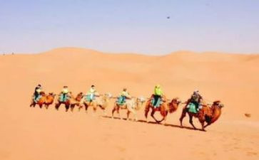 行走在____的路上作文600字6篇