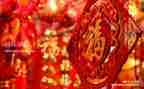 中班语言新年教案5篇
