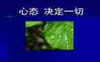培训心态的心的心得模板7篇