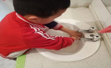 我会洗手小班教案5篇