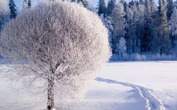 小班语言雪教案精选5篇