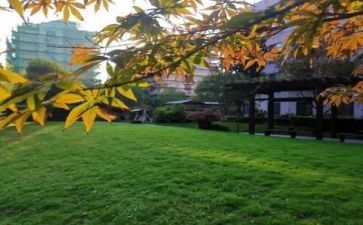 学校个人总结年度个人总结最新7篇