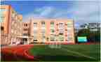 学校调查报告范文6篇