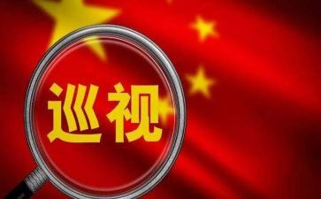 巡查组工作总结6篇