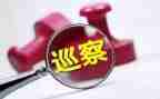 县巡察组长述职述廉报告6篇
