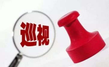党巡视工作条例心得体会7篇