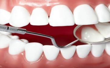 牙婆婆幼儿园教案6篇