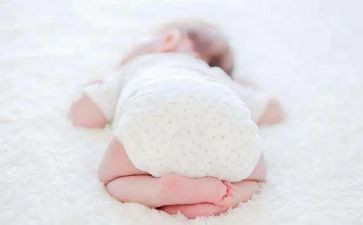 鼠宝宝教案通用6篇