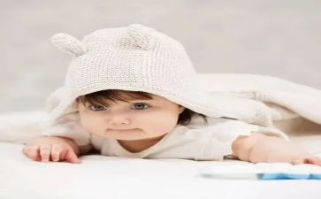 鼠宝宝教案参考5篇