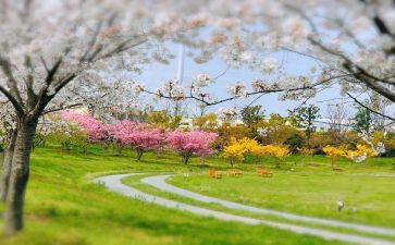 个人一季度工作总结7篇