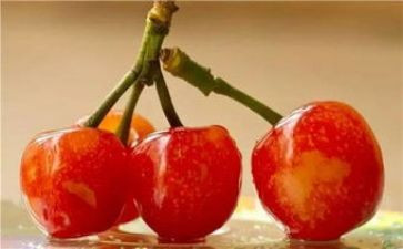 卖樱桃的作文6篇