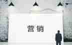 2024年营销部工作总结精选5篇