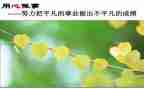 多媒体应用心得体会6篇
