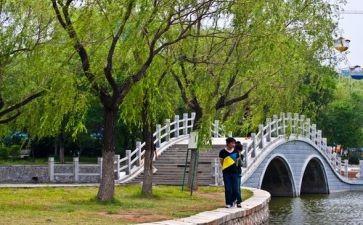 六一活动游园活动方案参考7篇
