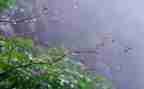 关于雨天作文6篇