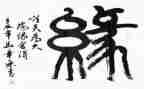 生命缘心得体会7篇