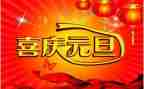 庆元旦幼儿代表发言稿7篇
