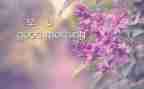 早八年级作文推荐6篇