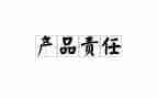 年主体责任述职报告5篇