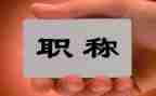 正高级职称专业技术工作总结6篇