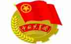 乡镇团委的述职报告8篇