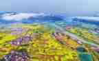2024年乡村振兴工作总结模板5篇
