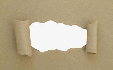 占报纸教案通用7篇