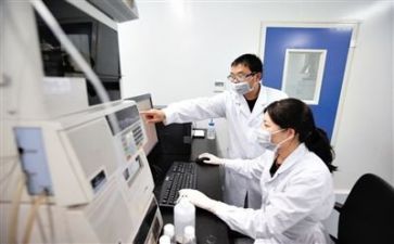 2024年质量年终总结7篇