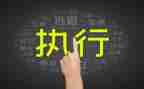 执行工作心得体会7篇