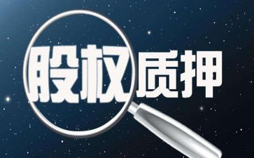 反担保股权质押合同6篇