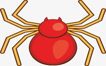 幼儿蜘蛛教案7篇