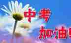 中考教师备考发言稿范文7篇