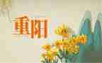 局重阳节活动方案优质5篇
