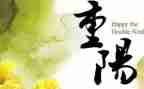 重阳敬老爱老作文7篇