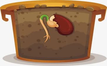 种子的旅行读后感8篇