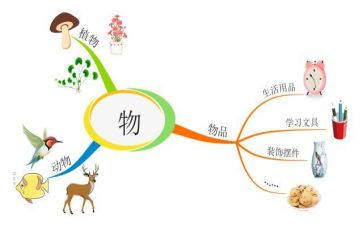 蝴蝶状物作文8篇