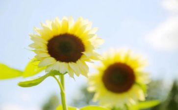 关于追求演讲稿8篇