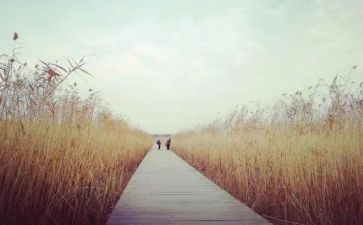 追寻梦想的作文7篇