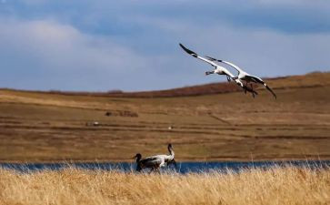 追寻梦想的作文最新8篇