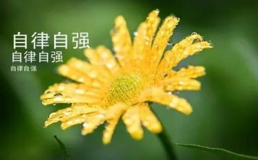 自立自强之星演讲稿6篇