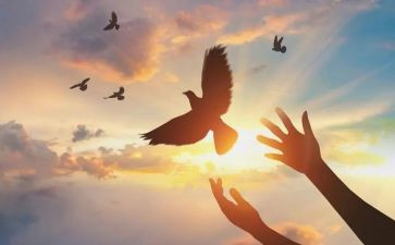 的自由作文600字最新6篇