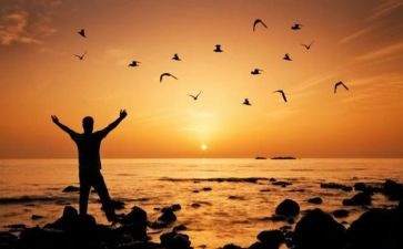 的自由作文600字推荐5篇